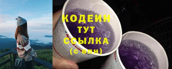 прущий лед Алексин