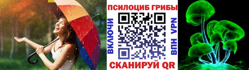 Галлюциногенные грибы мицелий  Анива 